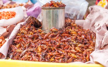 Chapulines are grasshoppers