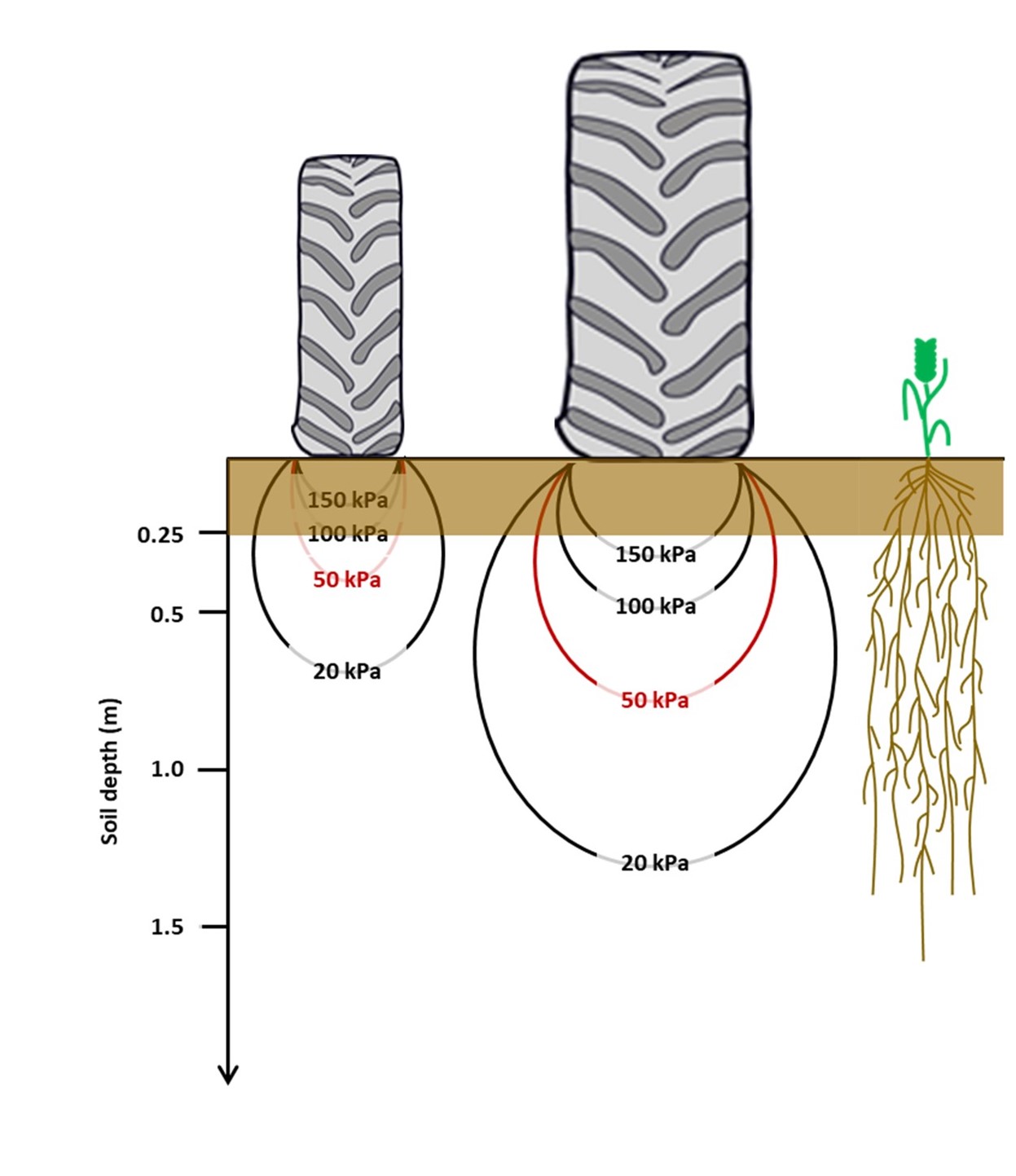 Diagram of vertical soil stress