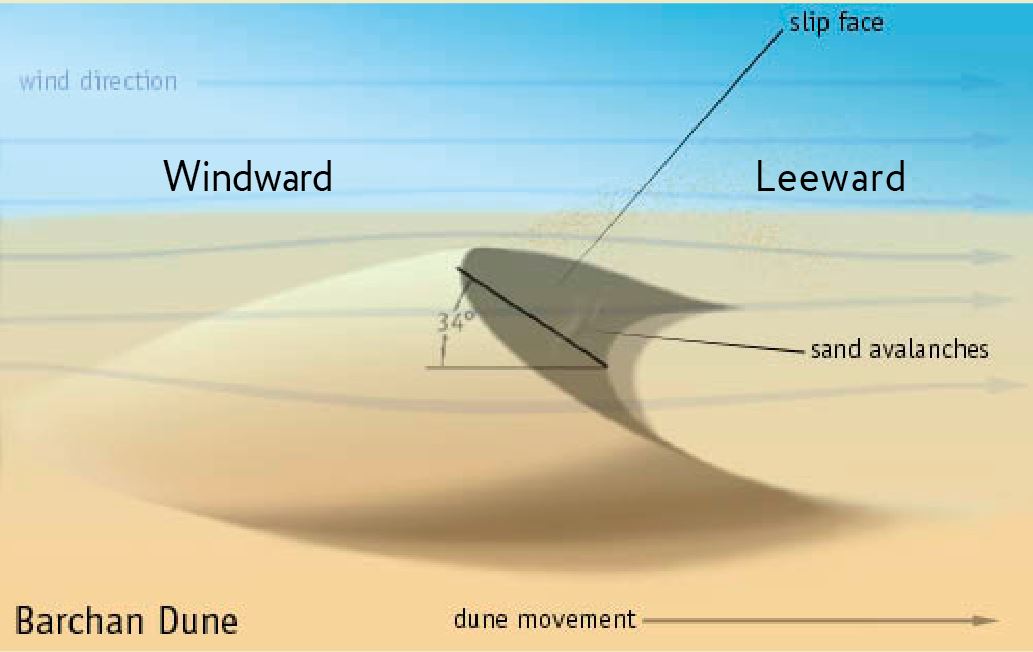 Diagram of a Barchan dune