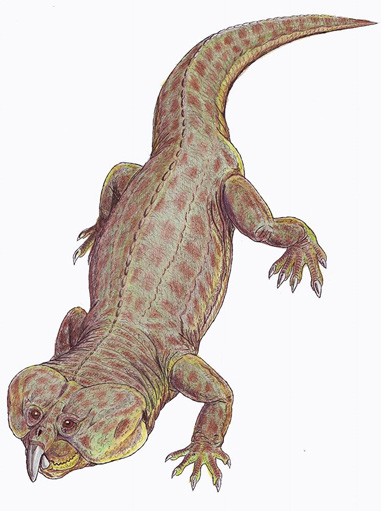 herbivorous Hyperodapedon rhynchosaurs