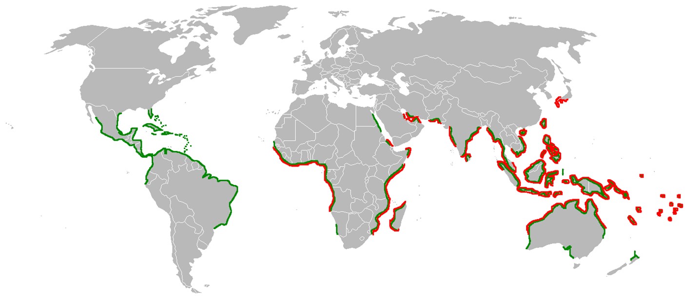Distribution of mangrove forests vs mudskippers