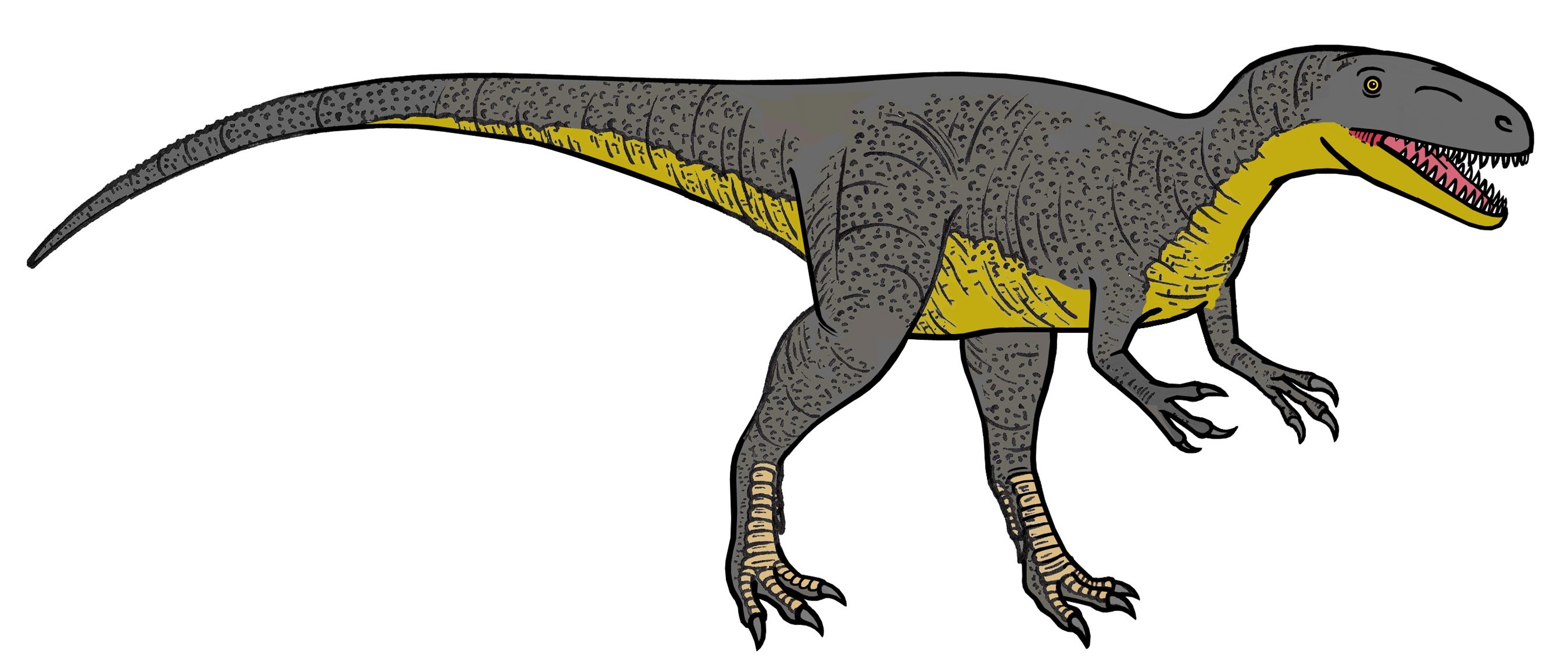 Reconstruction of Megalosaurus bucklandii