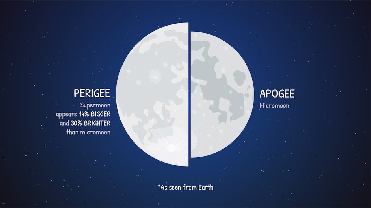 Apogee and perigee impact the relative size and brightness of the Moon as viewed from Earth.