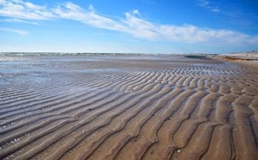 Exposed wave ripples during low tide at Fire Island National Seashore, New York.