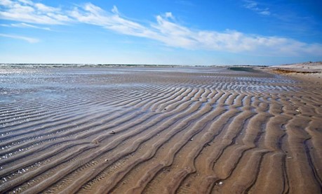 Exposed wave ripples during low tide at Fire Island National Seashore, New York.