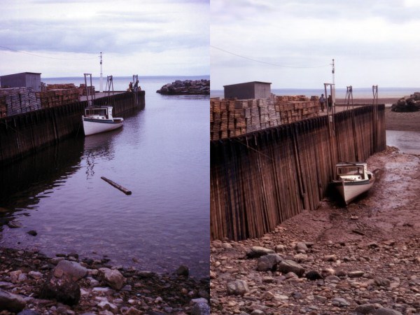 The Bay of Fundy at high tide (left) and 6 hours and 12.5 minutes later, at low tide (right).