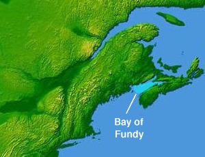 The Bay of Fundy’s funnel-shape and orientation cause it to have the highest tides on Earth, at up to 52 ft (16 m).