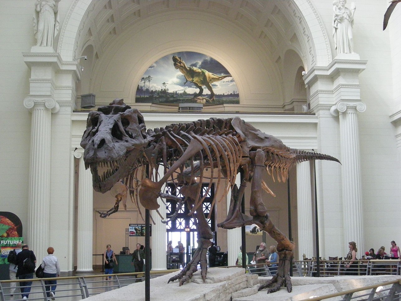 Sue, a T. rex