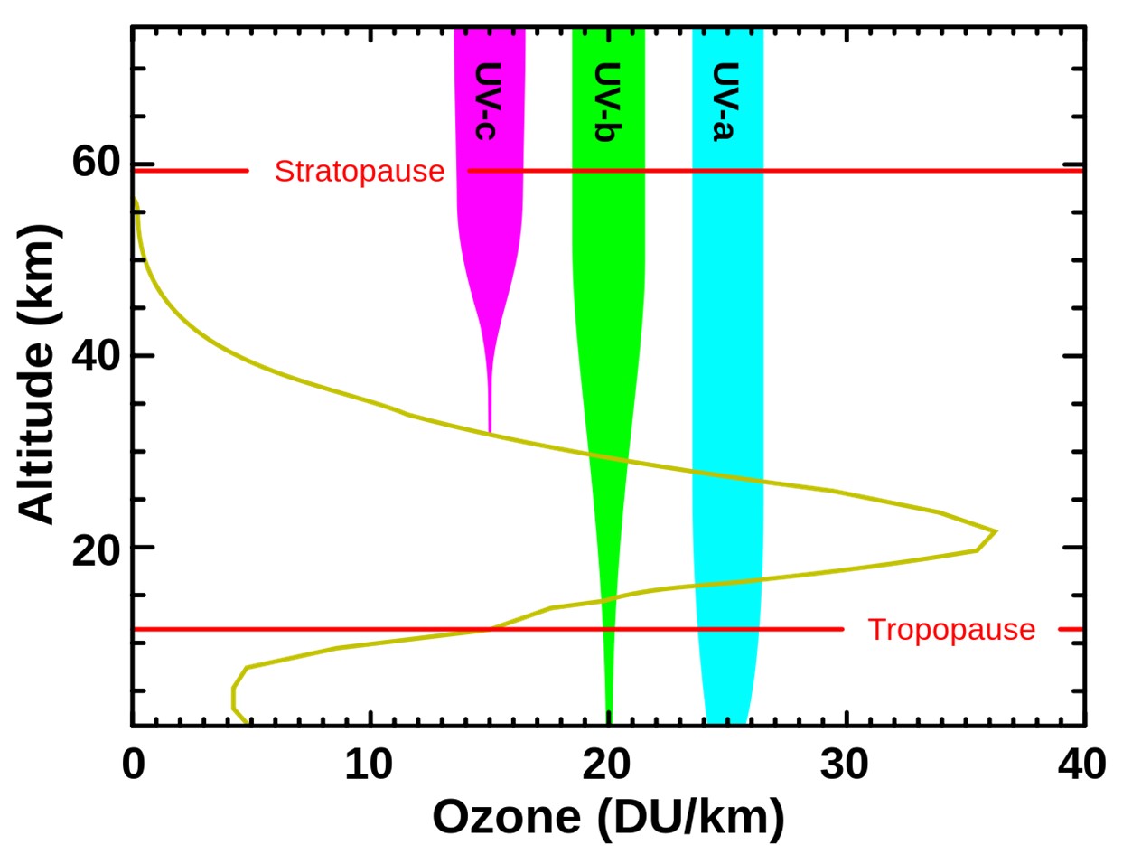 Levels of ozone at various altitudes (DU/km) and related stratospheric blocking of several types of ultraviolet radiation.