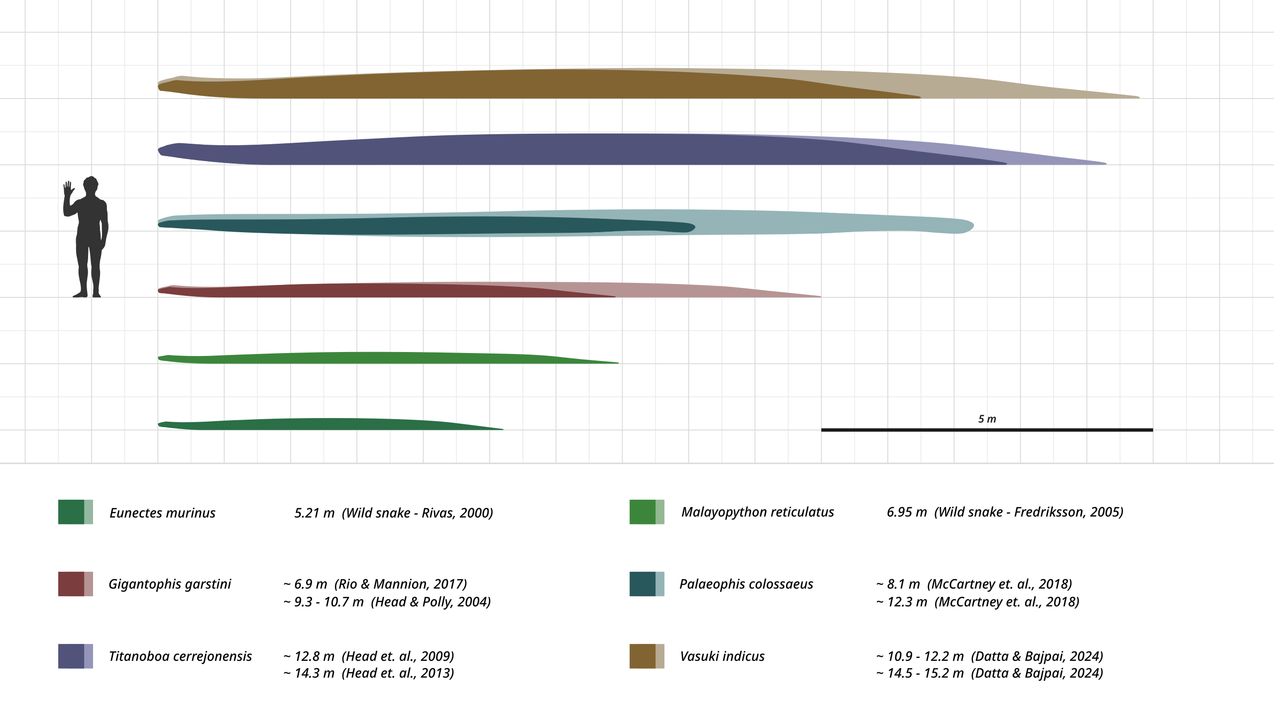 A size comparison chart of four different snakes