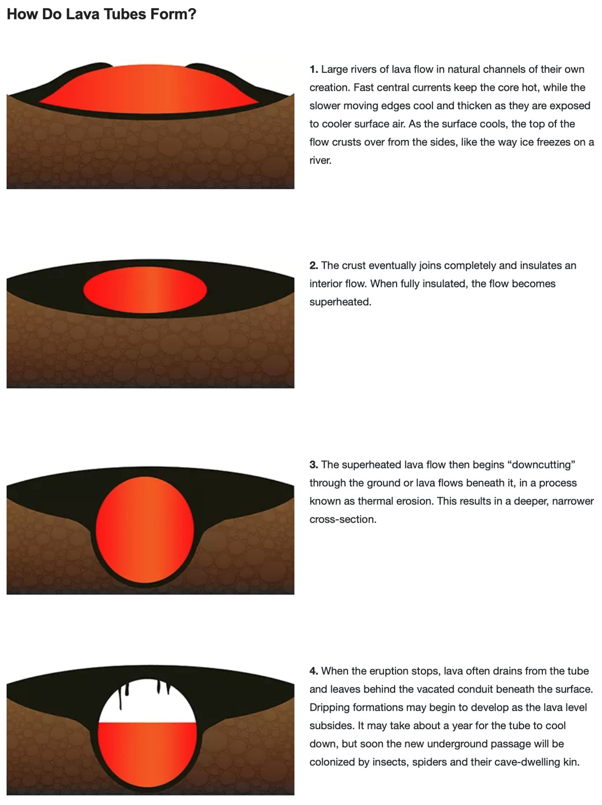 The evolution of a lava tube.