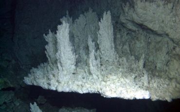 dendritic carbonate growths that form when mineral-rich vent fluids seep through the flange and come into contact with the cold seawater