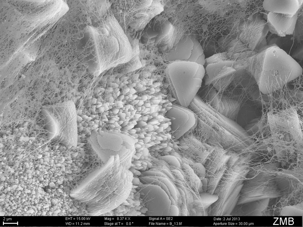 A scanning electron microscope image reveals the wispy biofilms made of microbes on and within Lost City chimneys.