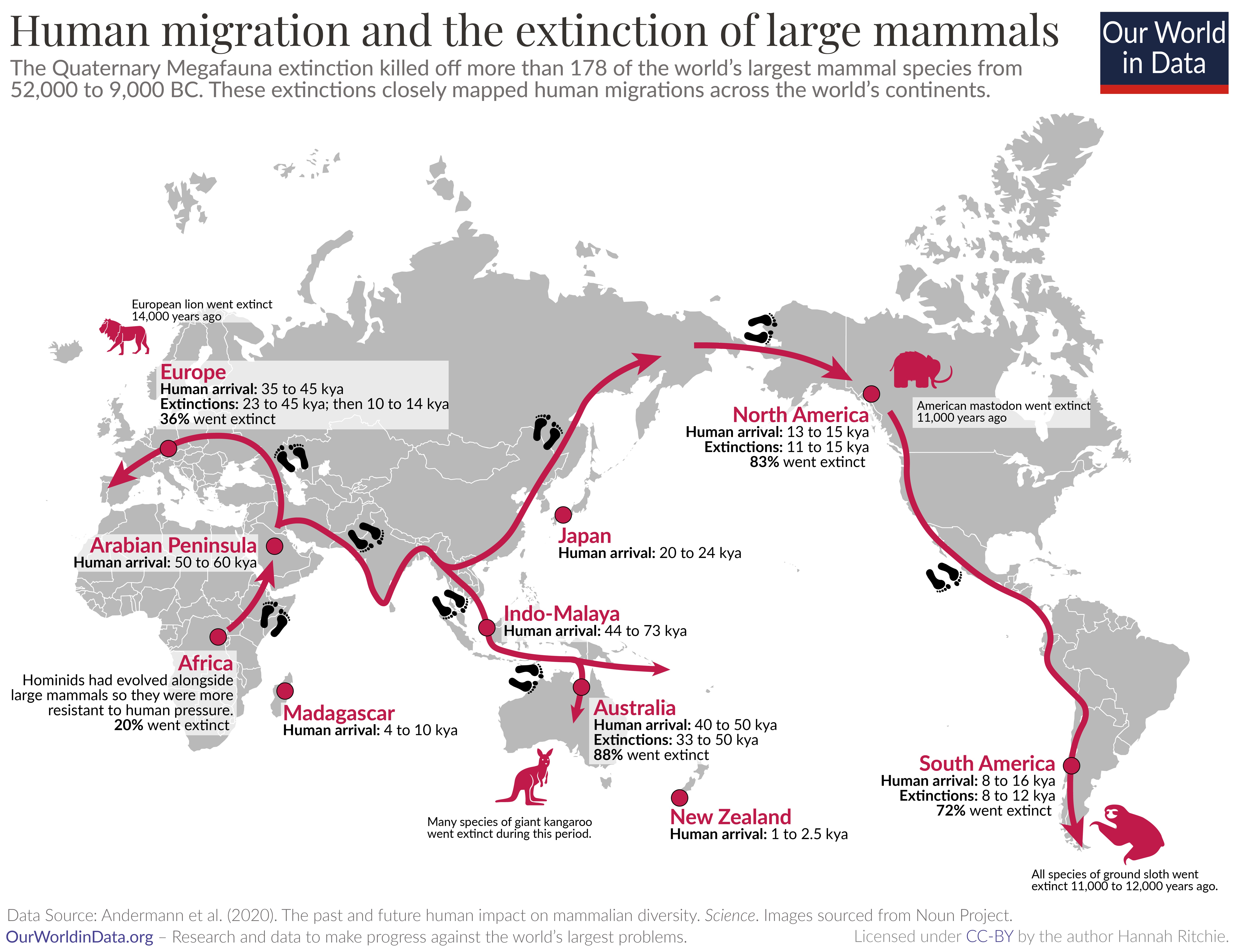 Correlation of human migration with Late Pleistocene and Holocene megafaunal extinctions.