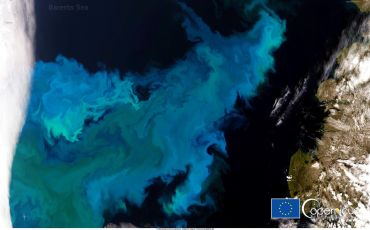 Barents Sea to the west of Russia’s Yuzhny Island bloomed with beautiful current-borne swirls of phytoplankton.