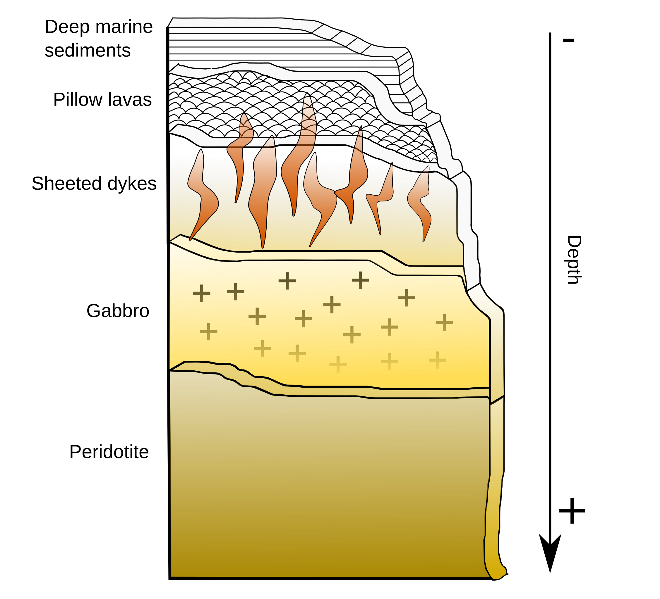 Oceanic crust has a layered structure that forms at spreading ridges.