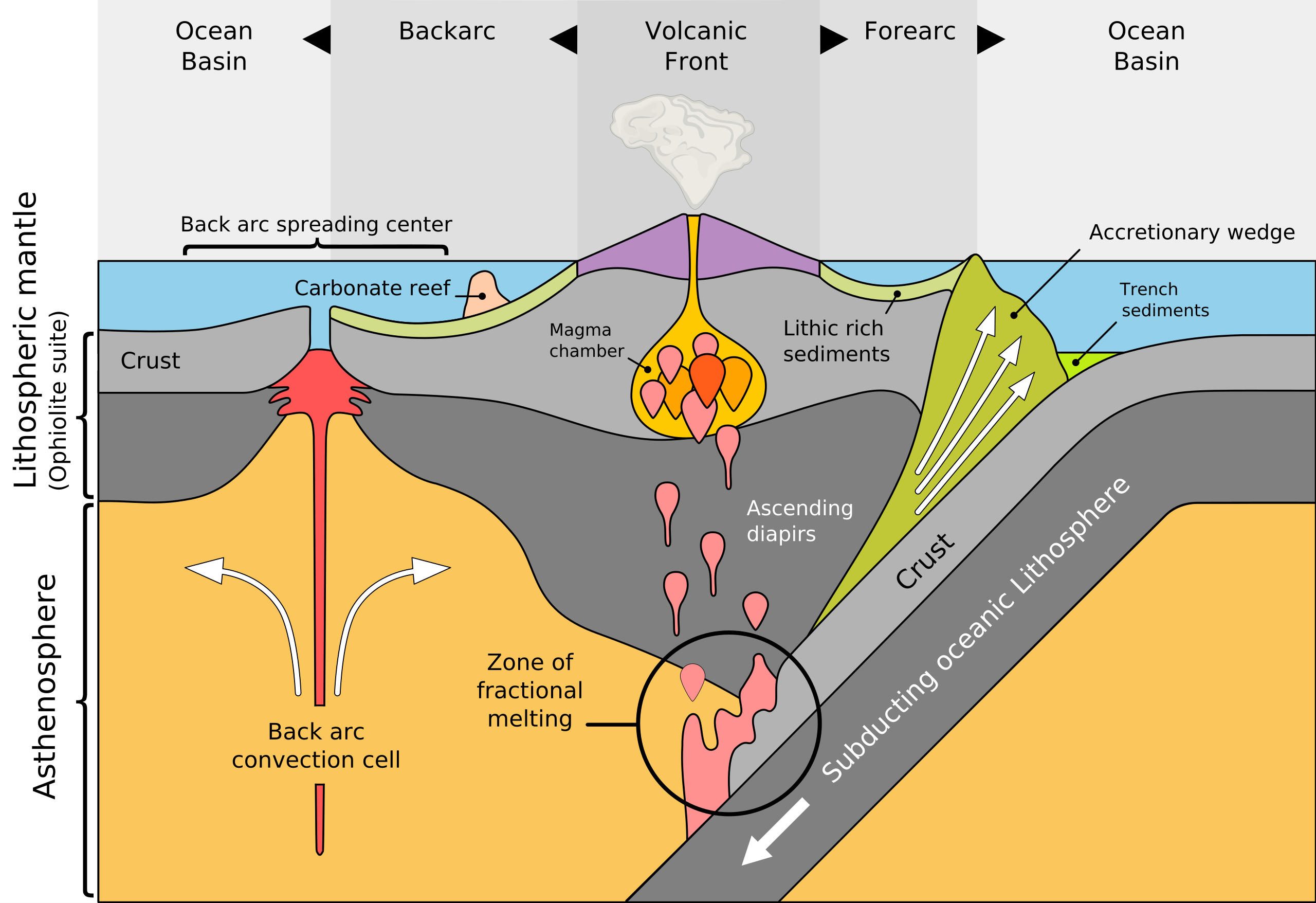 Convergence of plates resulting in the formation of a volcanic arc and a back arc basin with a spreading convection cell.