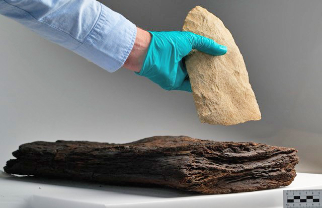 A stone axe blade from Kalambo Falls is the kind of tool that was used to cut down trees and shape the wood.