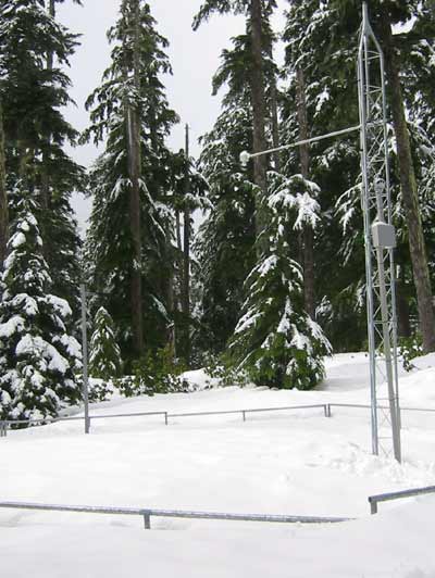 A snow telemetry station (SNOTEL) located near Blazed Alder Creek in northwest Oregon.